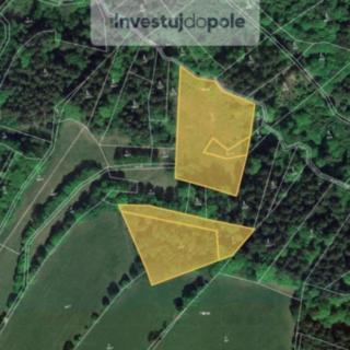 Prodej lesa 9892 m² Vysoké nad Jizerou