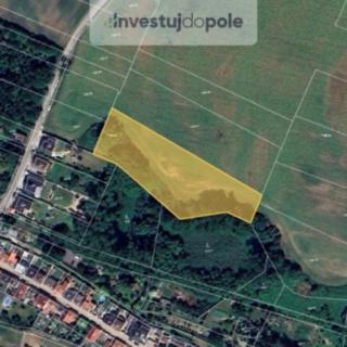 Prodej zemědělské půdy 2620 m&sup2; Kostelec nad Labem