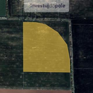 Prodej zemědělské půdy 10 992 m² Holubice Kozinec