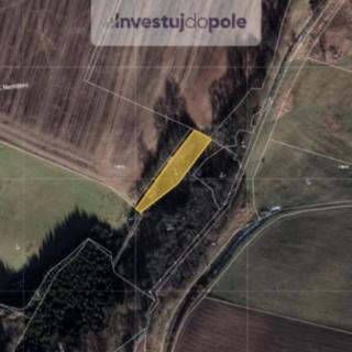 Prodej louky 1 259 m² Putimov