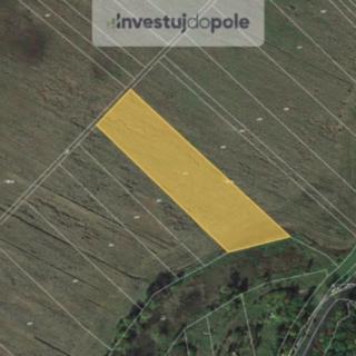 Prodej zemědělské půdy 8699 m&sup2; Kostice