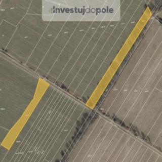 Prodej zemědělské půdy 2915 m&sup2; Velký Chlumec