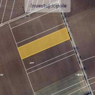 Prodej zemědělské půdy 5770 m&sup2; Smidary