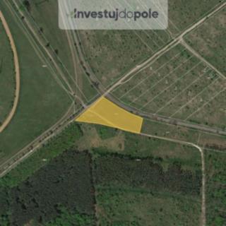 Prodej podílu zemědělské půdy 1006 m² Břeclav