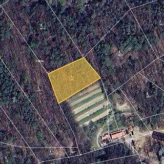 Prodej lesa 899 m² Stříbrnice