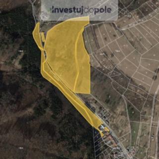 Prodej lesa 3358 m² Jankovice