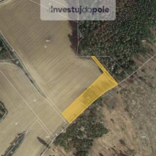 Prodej louky 3856 m&sup2; Pravonín