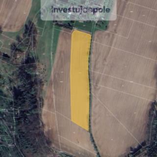 Prodej zemědělské půdy 12 975 m² Troskovice Křenovy
