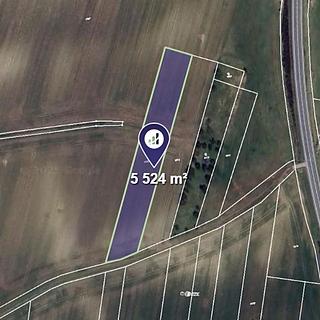 Prodej zemědělské půdy 5524 m&sup2; Holice