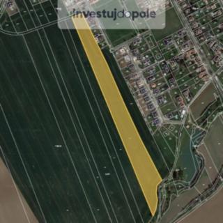 Prodej zemědělské půdy 27 174 m² Hostouň