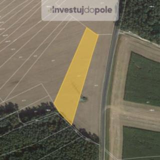 Prodej zemědělské půdy 990 m² Zruč-Senec