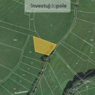 Prodej zemědělské půdy 1 677 m² Neurazy Nová Ves u Nepomuka