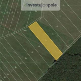 Prodej louky 3413 m&sup2; Kladruby nad Labem