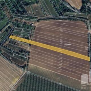 Prodej zemědělské půdy 1126 m&sup2; Svatobořice-Mistřín
