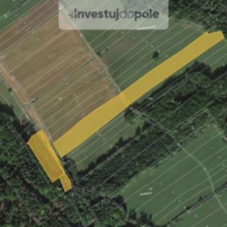 Prodej louky 19 060 m² Ježovy Chlumská