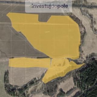 Prodej zemědělské půdy 35933 m&sup2; Čichalov