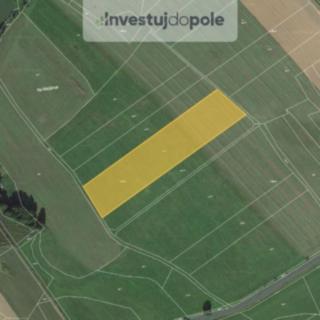 Prodej zemědělské půdy 11102 m&sup2; Běhařov