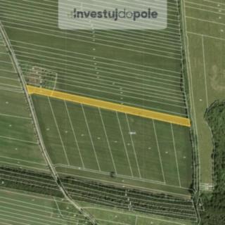 Prodej zemědělské půdy 6579 m&sup2; Javorník