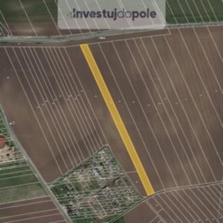 Prodej zemědělské půdy 8428 m&sup2; Telnice