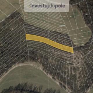 Prodej louky 2864 m² Cetechovice