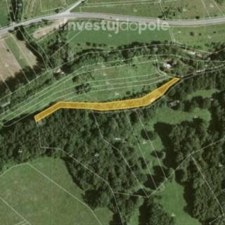 Prodej louky 1595 m&sup2; Javorník