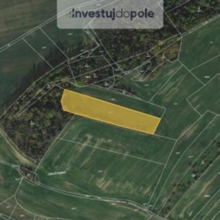 Prodej zemědělské půdy 5226 m&sup2; Pavlice