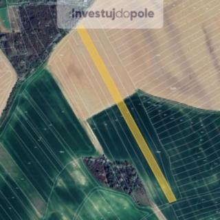 Prodej zemědělské půdy 18 704 m² Hýsly