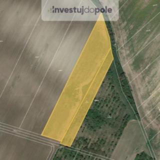 Prodej zemědělské půdy 2413 m&sup2; Hustopeče