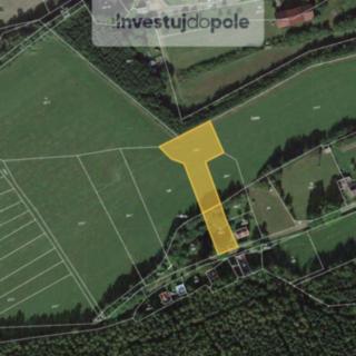 Prodej zemědělské půdy 1 504 m² Dlažov