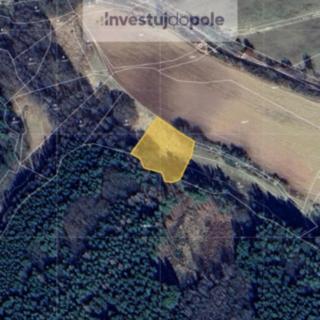 Prodej podílu ostatních pozemků 1104 m² Vitice