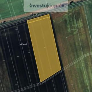 Prodej zemědělské půdy 4315 m&sup2; Kunovice