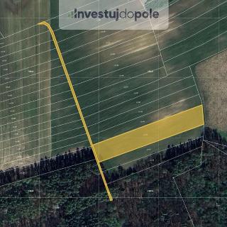 Prodej zemědělské půdy 2 901 m² Přelouč