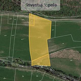 Prodej zemědělské půdy 7658 m&sup2; Městec Králové