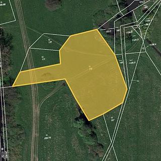 Prodej louky 5435 m&sup2; Brodce