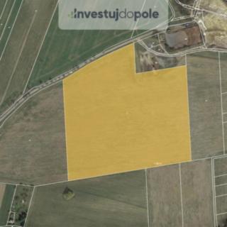 Prodej zemědělské půdy 68166 m&sup2; Černíny