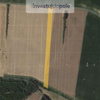 Prodej zemědělské půdy 16716 m&sup2; Nová Telib