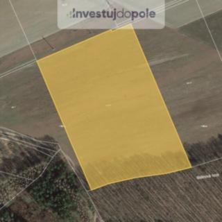 Prodej zemědělské půdy 29079 m&sup2; Hracholusky