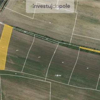 Prodej zemědělské půdy 1091 m&sup2; Horní Slivno