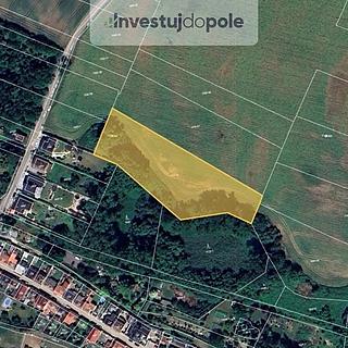 Prodej zemědělské půdy 2620 m&sup2; Kostelec nad Labem