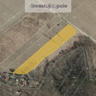 Prodej zemědělské půdy 7869 m&sup2; Sýkořice