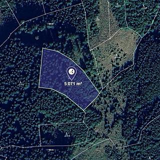 Prodej lesa 5071 m&sup2; Hovězí