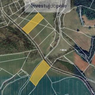 Prodej zemědělské půdy 6625 m&sup2; Lešany