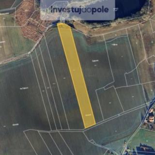 Prodej zemědělské půdy 1325 m&sup2; Předotice