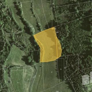 Prodej louky 7060 m&sup2; Stvolová