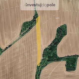 Prodej zemědělské půdy 5441 m&sup2; Zborovice