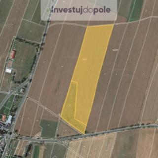 Prodej zemědělské půdy 2 420 m² Melč