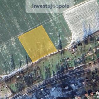 Prodej zemědělské půdy 3981 m&sup2; Česká Třebová