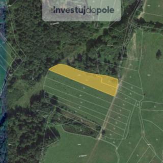 Prodej louky 6 998 m² Neurazy Nová Ves u Nepomuka