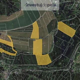 Prodej louky 4446 m&sup2; Koberovy