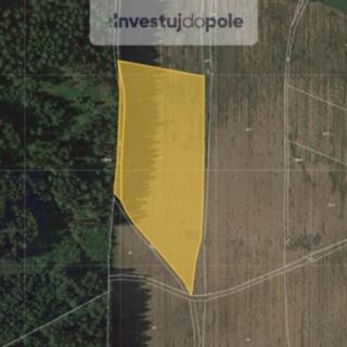 Prodej zemědělské půdy 15779 m&sup2; Mříčná